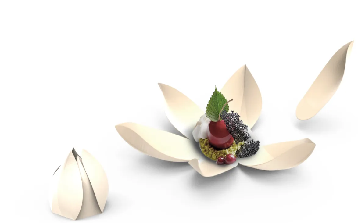 Space Lotus